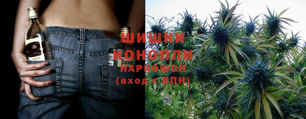 хмурый Бородино