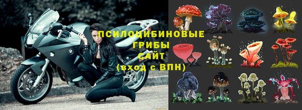 хмурый Бородино