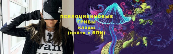 хмурый Бородино